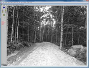 WinCAM, NDVI, color analysis, measurement, CAM, color area meter