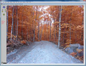 WinCAM, NDVI, color analysis, measurement, CAM, color area meter