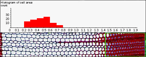 cell analysis, wood cell, WinCELL, XLCell