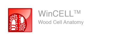 wood cell analysis