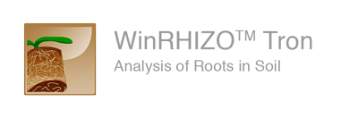 in soil roots, rhizotron