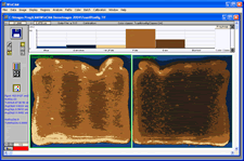 WinCAM, NDVI, color analysis, measurement, CAM, color area meter