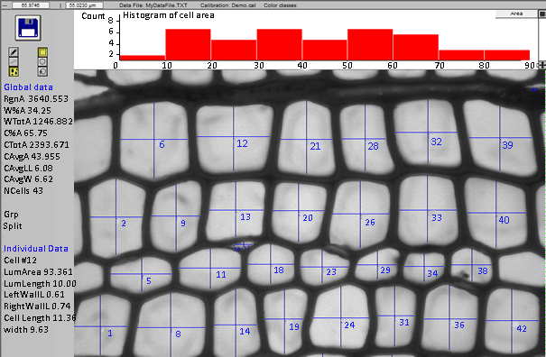 cell analysis, wood cell, WinCELL, XLCell