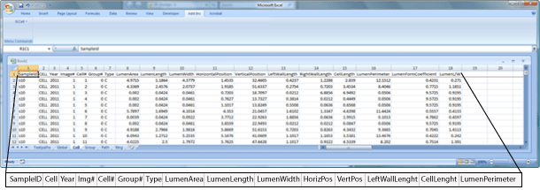 cell analysis, wood cell, WinCELL, XLCell